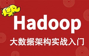 大数据处理架构丨大数据Hadoop 3.x（2021全新升级/部署 源码 实战）、Hadoop-HDFS/Hadoop-mapreduce