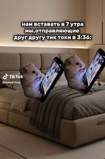 Мемы с хомяком: тренды TikTok