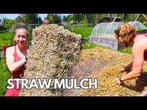 The Ultimate Guide to Straw Mulching: Tips, Tricks, and Benefits!