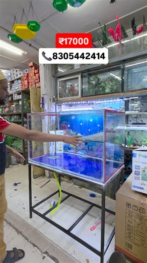 Fish N Fun on Instagram: "turtle tank.... #tank #turtle #fishtank #explore #instagood #fish #goldfish #aquariumhobby"