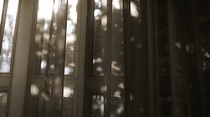 Tree shadows sway in the wind on the curtain. Vintage sepia colors. 4K