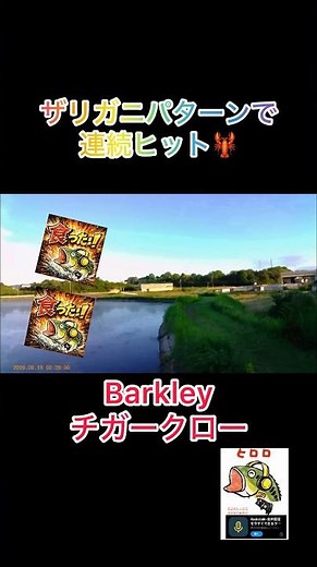 ザリガニパターンで連続キャッチ🦞 #バスフィッシング #心の哲学