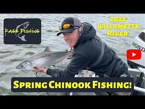 2022 SPRING CHINOOK FISHING! WILLAMETTE RIVER. Derel shares his method of trolling for springers!