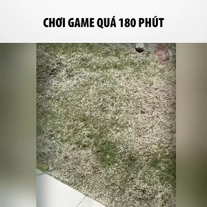 12K views · 520 reactions | Combat cực mạnh | Liên Minh Huyền Thoại FC | Facebook