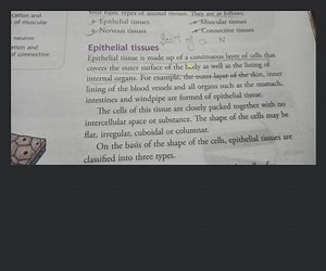four basic types of animal tissues. They are as follows.... | Filo