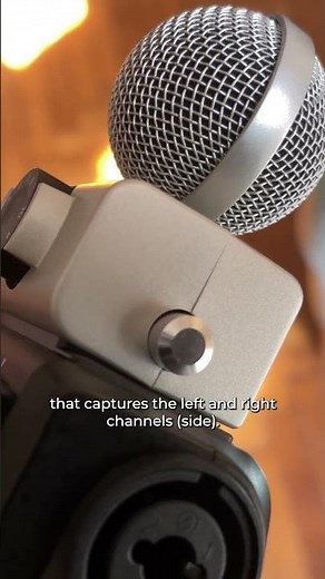 What Can You Do With The MSH 6 Capsule? Zoom H6 vs Zoom H8