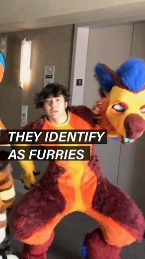 They Identify As Furries These furries were sexualized. A furry is someone who appreciates animals with human characteristics. Some even dress up as the creatures. Megaplex 2021, a convention for furries, begins on 6 August | seen.tv