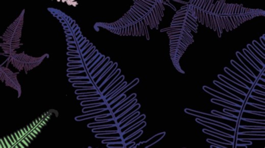 New Botany Checklist maps past, present and future of Hawaiʻi’s native and invasive plants | Big Island Now