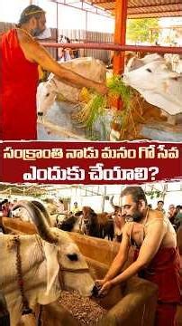 సంక్రాంతి నాడు మనం గోసేవ ఎందుకు చేయాలి | Why We Do Goseva on Sankranti? | HH Chinna Jeeyar Swami