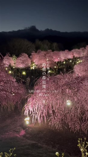 鈴鹿の森庭園で体験する日本の美