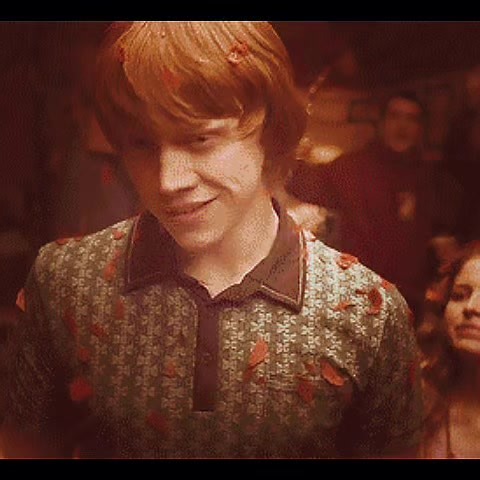 Harry Potter Inspired GIF Edit with Ron Weasley