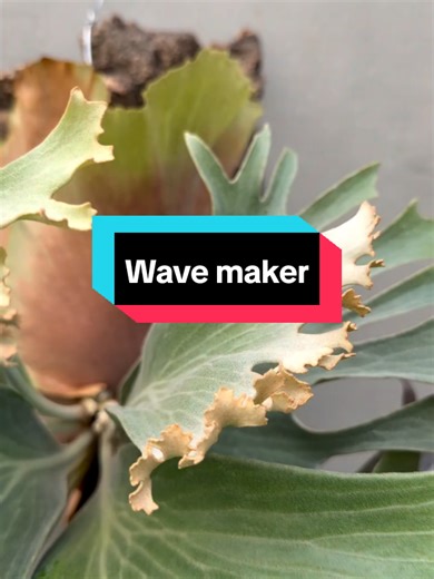 Innovative Wave Maker Technology Explained