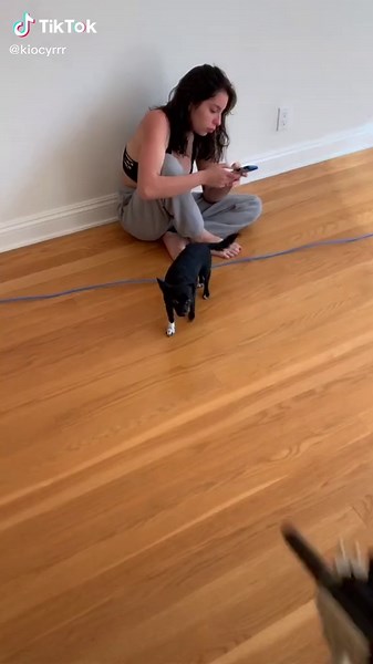 This is not animal abuse