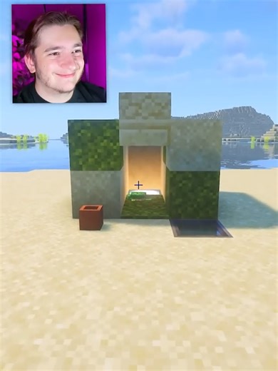 Minecraft: Rebuilding a Baby Turtle's House