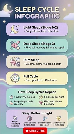 Sleep Cycle Infographic