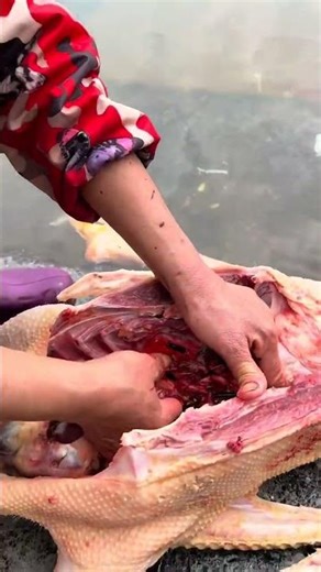 Spring Festival's Ultimate Food Map: A Culinary Journey in China