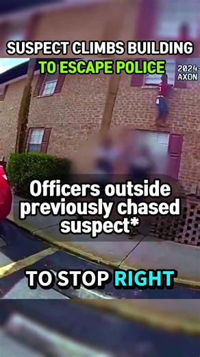 Suspect Tries Climbing Building to Escape Police