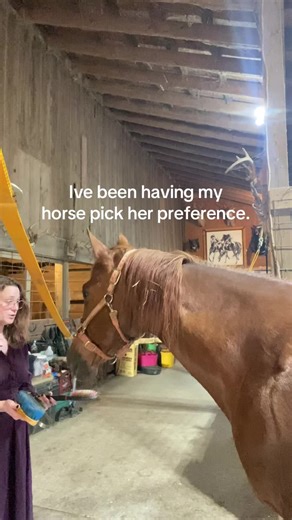 She’s definitely smarter and more patient than me #preference #horse