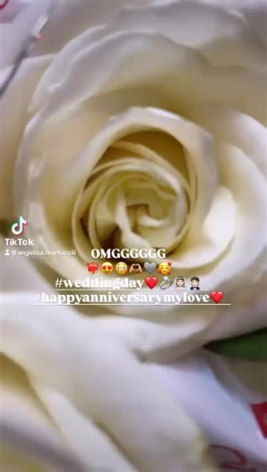 Mr. & Mrs. Grey: Celebrating a Beautiful Wedding Day