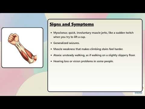 MERRF Syndrome Explained Causes, Symptoms and Treatment, All Insights