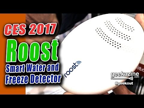 Roost Smart Wifi Water and Freeze Detector Detects Problems