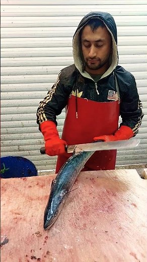 King Mackerel Fish Slices ( KING FISH )