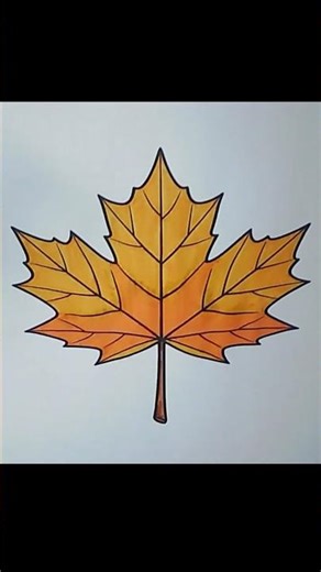 Coloring a Maple Leaf 🍁 | Calm, Satisfying, No Talking