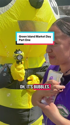 Exploring the Greater Green Island Market Day