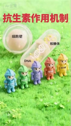 抗生素作用机制 #药学科普