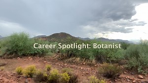 CAREER SPOTLIGHT: What is a forest botanist and what do they do? Learn how Forest Botanist Robert Madera provides his expertise in botany for land management on the #TontoNF | U.S. Forest Service-Tonto National Forest