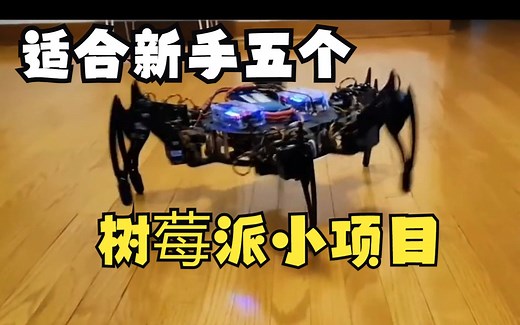 【极客必备小项目】盘点2022 年 5 个树莓派学校项目 ！！！