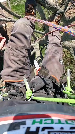 5.8K views · 52 reactions | Robert tree cutting service  climb in tree with full sefety #roberttreecuttingservice #robert_climber #reels2023 #viralreels #trendingreels #homeservices #reels #treelife #chainsaw #tree | Robert Climber | Facebook