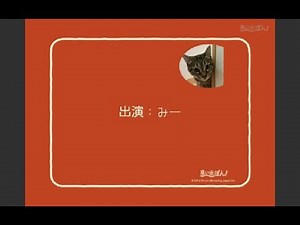 【NHK Eﾃﾚ 0655 あたし、ねこ】 思い出ぽん！実家猫みー。☆ I am cat