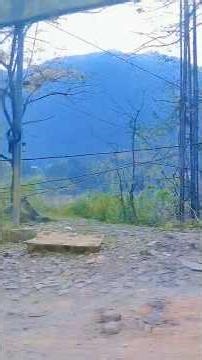 Aadmi Musafir Hai 💖\\\\#shorts #viral #trending #travel #love #yt{"simpleText":"Sign in"}{"simpleText":"Sign in"}{"runs":[{"text":"Save"}]}Want to watch this again later?Nandita's digitalDiary{"simpleText":"Personalized"}{"simpleText":"None"}{"runs":[{"text":"Unsubscribe"}]}Nandita's digitalDiary?Nandita's digitalDiary?LIVE{"content":"Stadtverwaltung Bad Salzungen"}{"content":"1.7K watching"}LIVE{"content":"Collins Creek Critters"}{"content":"1.4K watching"}LIVE{"content":"Cozy Jazz Atmosphere"