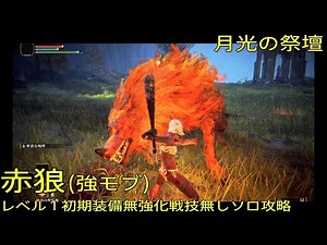 【エルデンリング】月光の祭壇 " 赤狼（強モブ) " レベル１初期装備無強化戦技無しソロ攻略【ELDENRING】