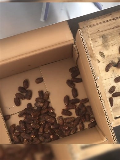 Commercial date sorter works 24/7, sorting speed far exceeds manual work, easily handles large-scale processing!#DateSortingMachine#DateProcessing#viral#DateBusiness#LaborSaving