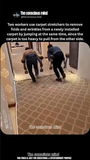Saw How to Fix Carpet Folds Like a Pro