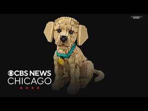 Lego debuts 2,101 piece golden retriever puppy kit