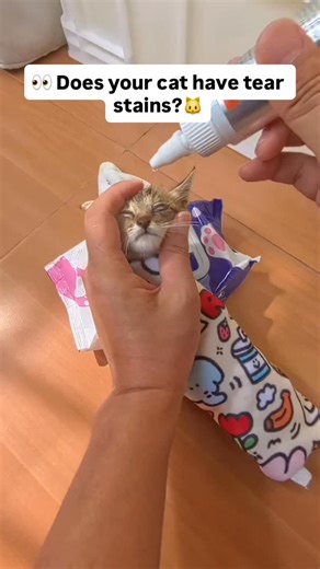Cat farm | Say goodbye to stubborn eye stains! 🧼✨ This gentle cat eye cleaning wipe/solution helps: 👁 Remove dirt & eye discharge 🌸 Prevent tear... | Instagram