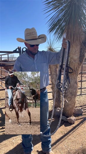 Understanding Draw Reins: Common Questions Answered