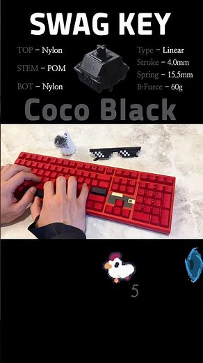 🕶️ 맨인블랙 말고 코코블랙!! [SWAGKEY COCOBLACK]