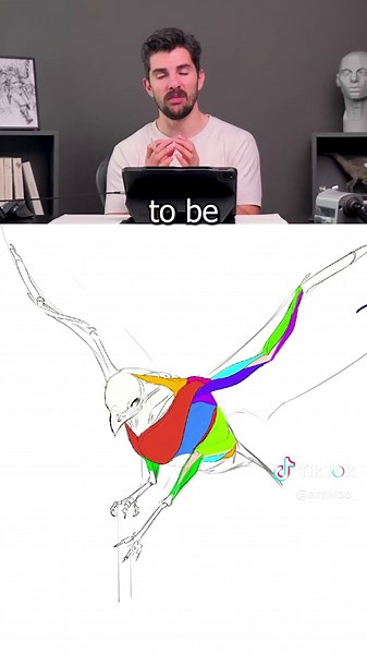 Mastering Creature Design: Anatomy Tips and Tricks