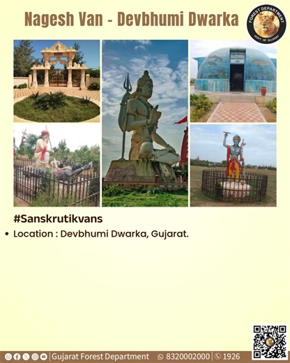 Nagesh Van – Where Spirituality Meets Sustainability ✨ A Sanskrutik Van is a living cultural heritage. From Navgrah Van and Nakshatra Van to Panchavati and Daruka Van, every grove here tells a story of faith, ecology and tradition. With over 30 lakh pilgrims and tourists visiting Dwarka and Nageshwar annually, this Sanskrutik Van welcomes more than 1.23 lakh visitors each year, offering them a chance to experience the harmony of spirituality and biodiversity. Jamun, Arjun, Vad, Pipal, Tulsi, and