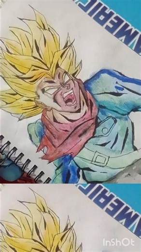 trunks drawing