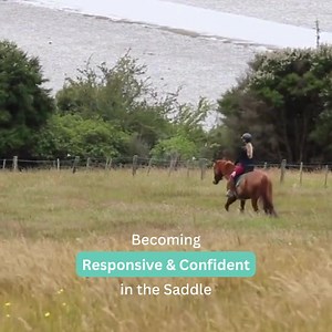 178 reactions · 12 shares | Tension and anxiety affect our rides to...