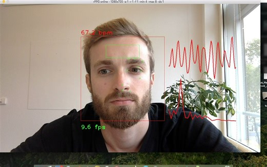 rPPG -非接触式心率测量