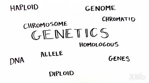 Keeping Track of Your DNA