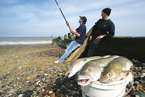 Beach Fishing for Cod Off the Holderness Coast