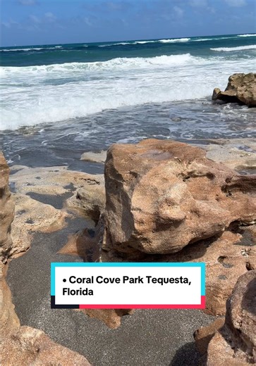 Coral Cove Park Tequesta, Florida, coral cove, Jupitar Florida #coral #coralcovepark #fyp #floridalife #beachvibes