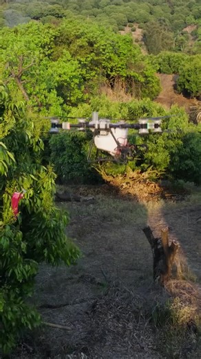 How Drones Revolutionize Agriculture with Precision | Agrocopter.pro posted on the topic | LinkedIn